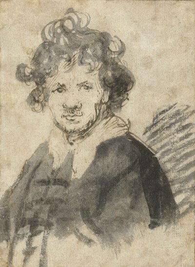 Self-portrait with Tousled Hair, c.1628-29 by Rembrandt van Rijn